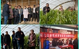 現(xiàn)代農(nóng)業(yè)技術(shù)系開展“喜迎己亥新春佳節(jié)、送科技送文化下鄉(xiāng)”主題黨日活動(dòng)